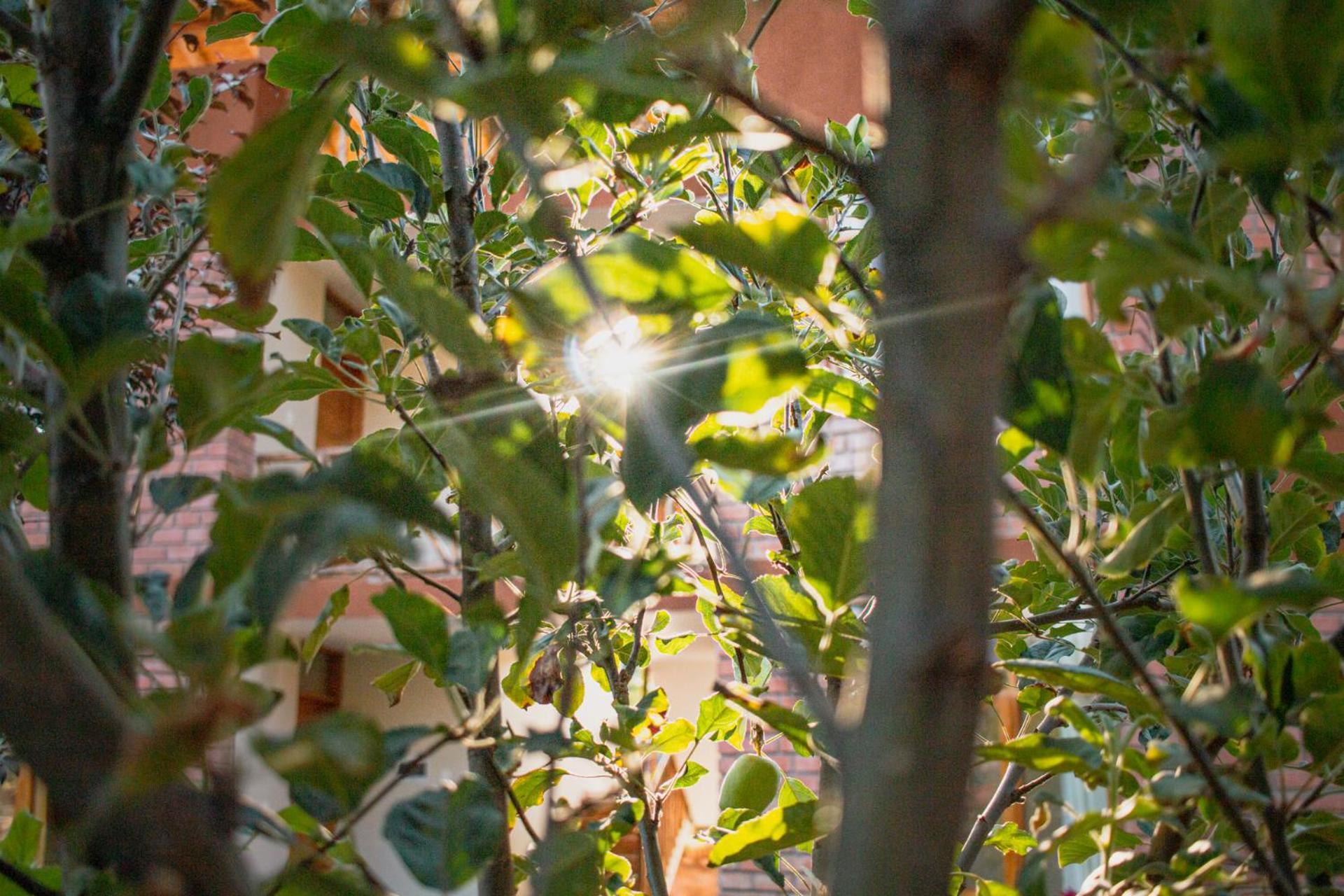 Allin Illary Eco Hospedaje Urubamba Exterior foto
