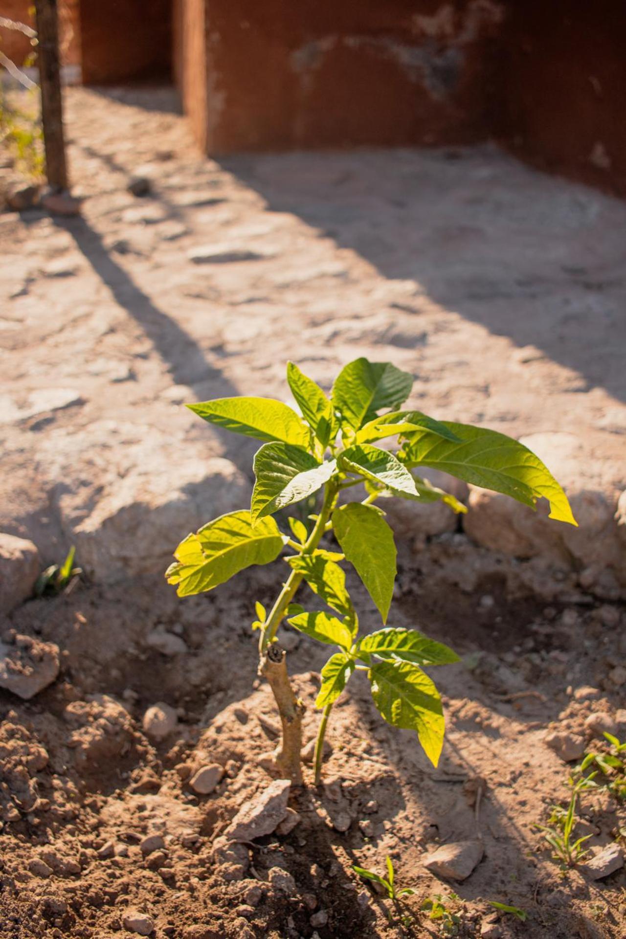 Allin Illary Eco Hospedaje Urubamba Exterior foto